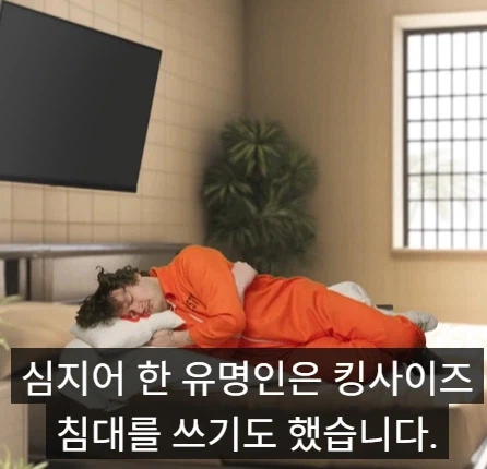 미국 부자들 감옥과 일반인들 감옥 차이점.jpg_6.webp