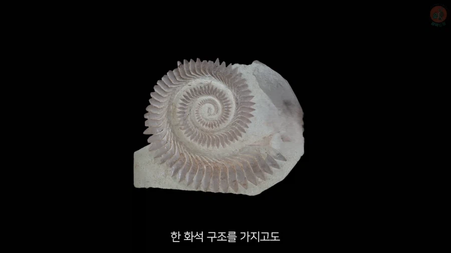 고생물의 복원도가 바뀌는 이유_1.webp