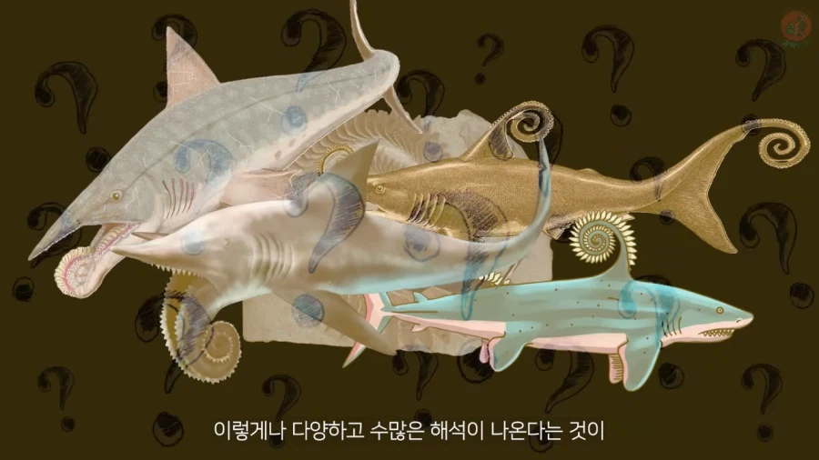 고생물의 복원도가 바뀌는 이유_2.webp