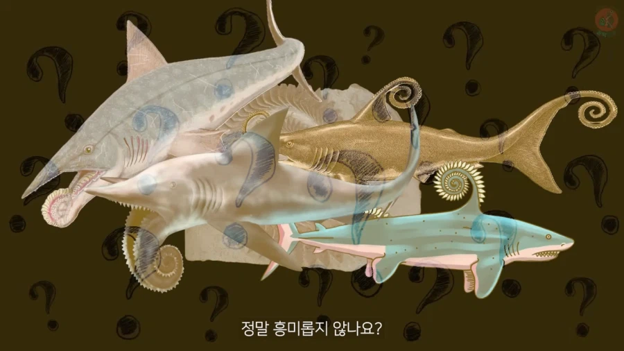 고생물의 복원도가 바뀌는 이유_3.webp