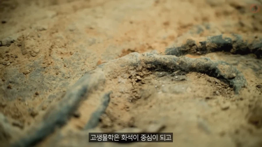 고생물의 복원도가 바뀌는 이유_6.webp