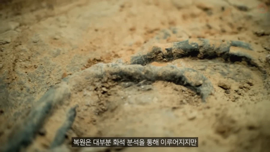 고생물의 복원도가 바뀌는 이유_7.webp