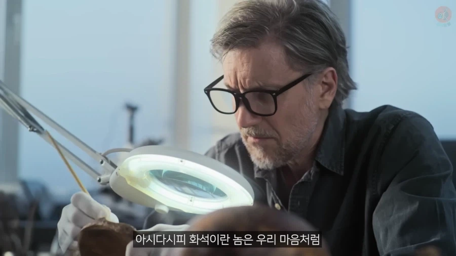 고생물의 복원도가 바뀌는 이유_8.webp