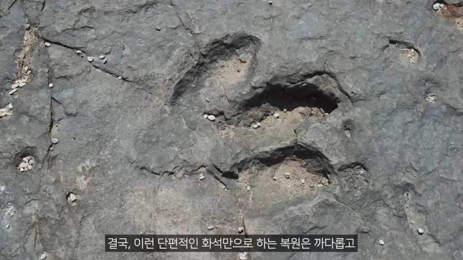 고생물의 복원도가 바뀌는 이유_10.webp