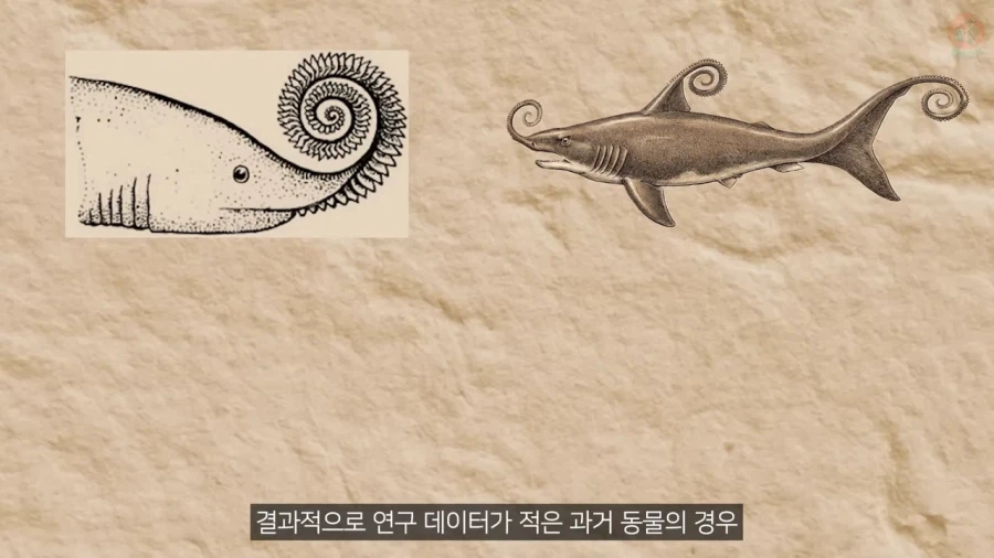 고생물의 복원도가 바뀌는 이유_11.webp