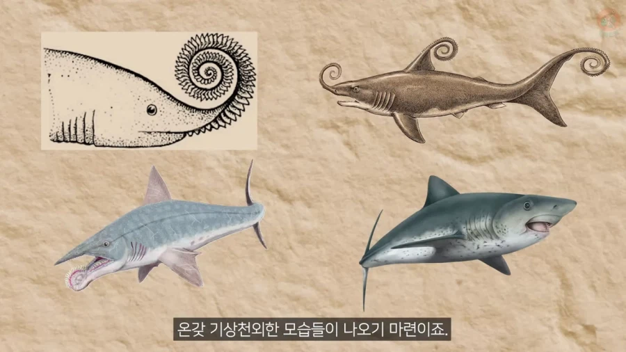 고생물의 복원도가 바뀌는 이유_12.webp