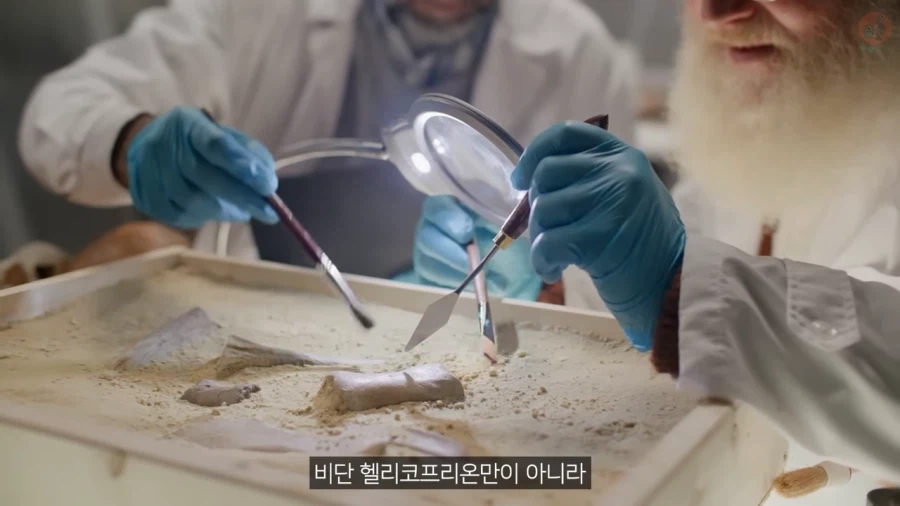 고생물의 복원도가 바뀌는 이유_13.webp