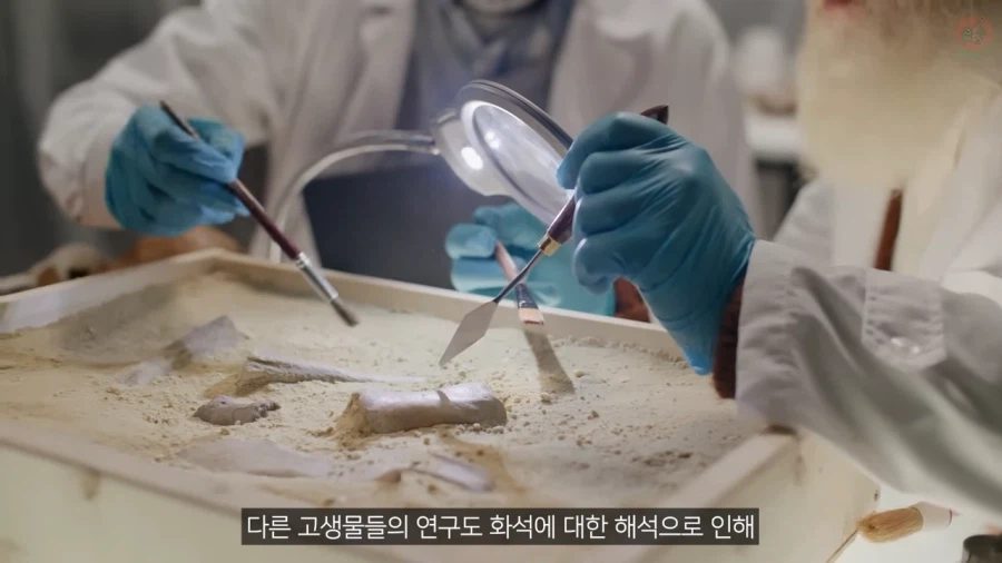 고생물의 복원도가 바뀌는 이유_14.webp