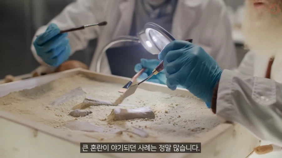 고생물의 복원도가 바뀌는 이유_15.webp