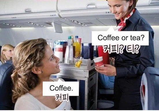 커피? 티?.jpg_1.webp