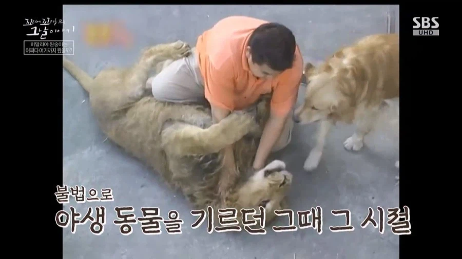 90년대 불법으로 기르던 애완동물들_10.webp