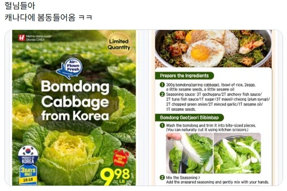 캐나다까지 흘러가버린 봄동 유행.jpg_1.webp