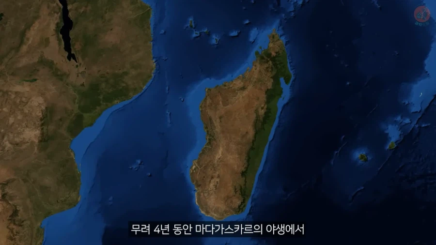 거미줄로 옷을 만들기까지 걸린 시간과 노력_11.webp