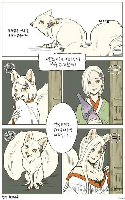 안녕하세요 낮에 구해주신 여우입니다_1.webp