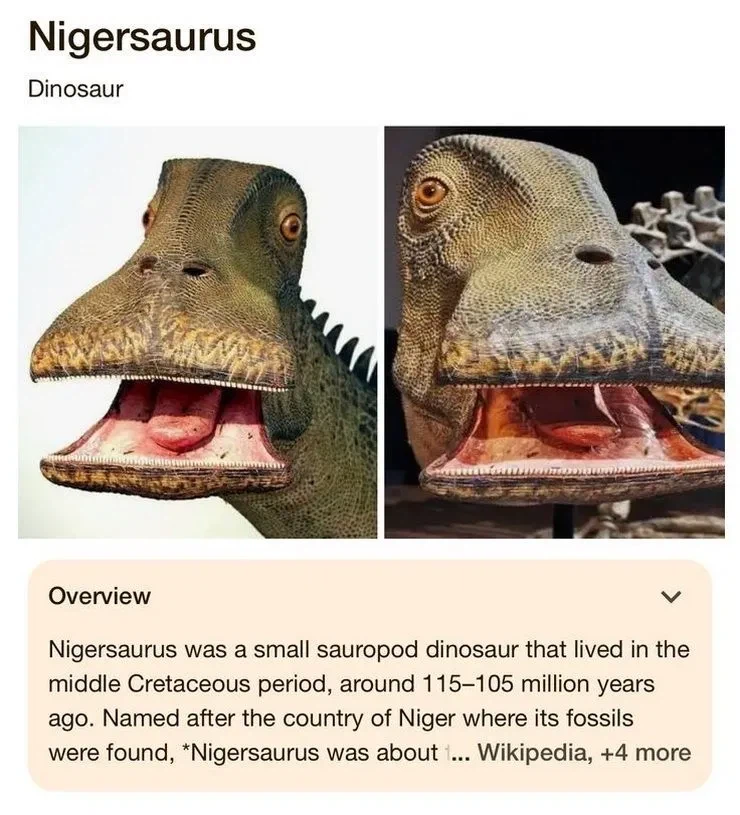 신기하게 생긴 공룡 니게르사우루스.jpg_1.webp