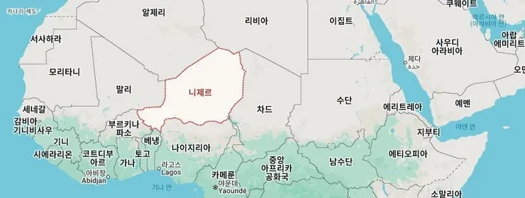 신기하게 생긴 공룡 니게르사우루스.jpg_3.webp