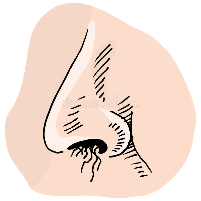 의외로 30대에 확 체감 되는 거_1.webp