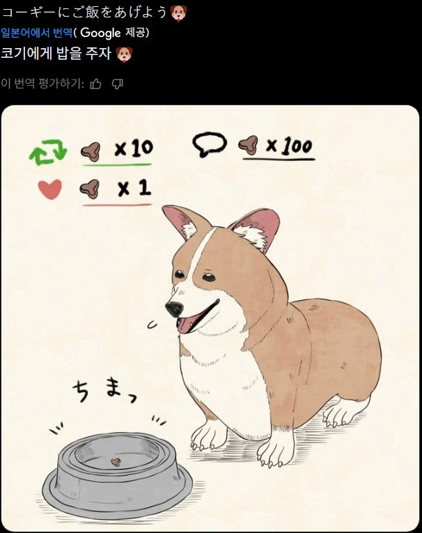 코기에게 밥을 주세요!_1.webp