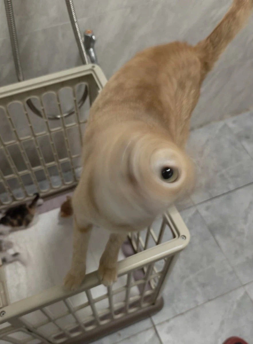 기생수의 숙주가 된 골댕이_1.webp