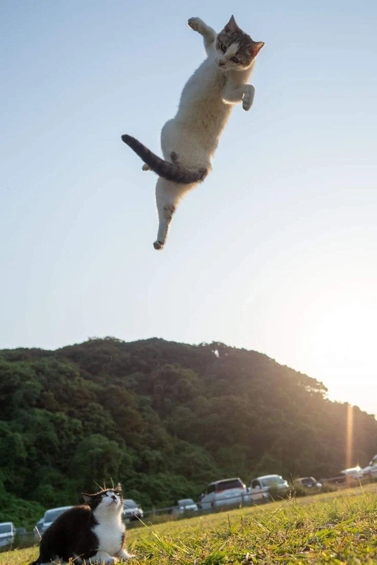 영화 평론을 잘하고 싶어요.movie_7.webp