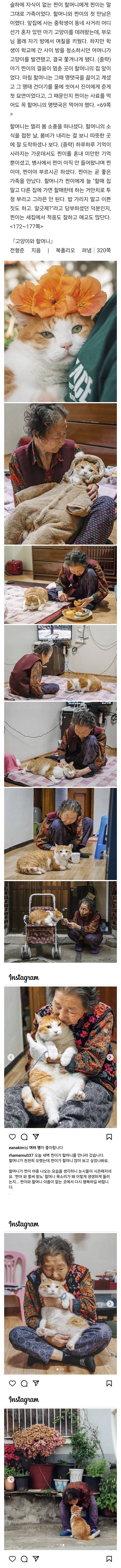 고양이 찐이와 할머니.jpg_1.webp