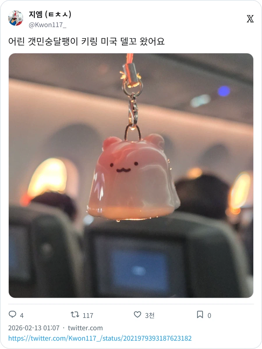 미국 델꼬 온 어린 갯민숭달팽이 키링_1.webp