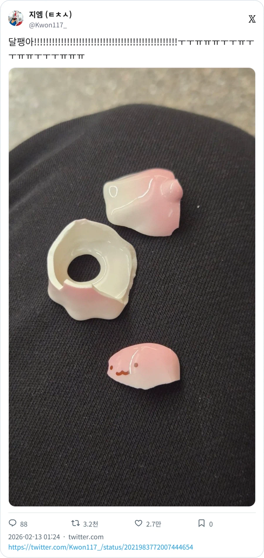 미국 델꼬 온 어린 갯민숭달팽이 키링_2.webp