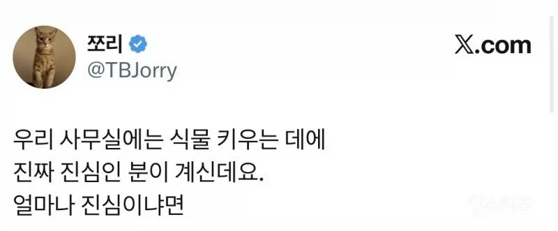 사무실 식물에 진심인 직원_1.webp