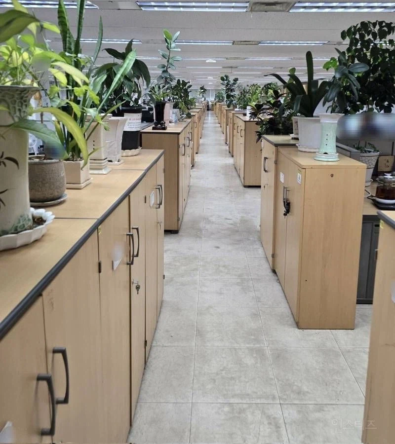 사무실 식물에 진심인 직원_2.webp