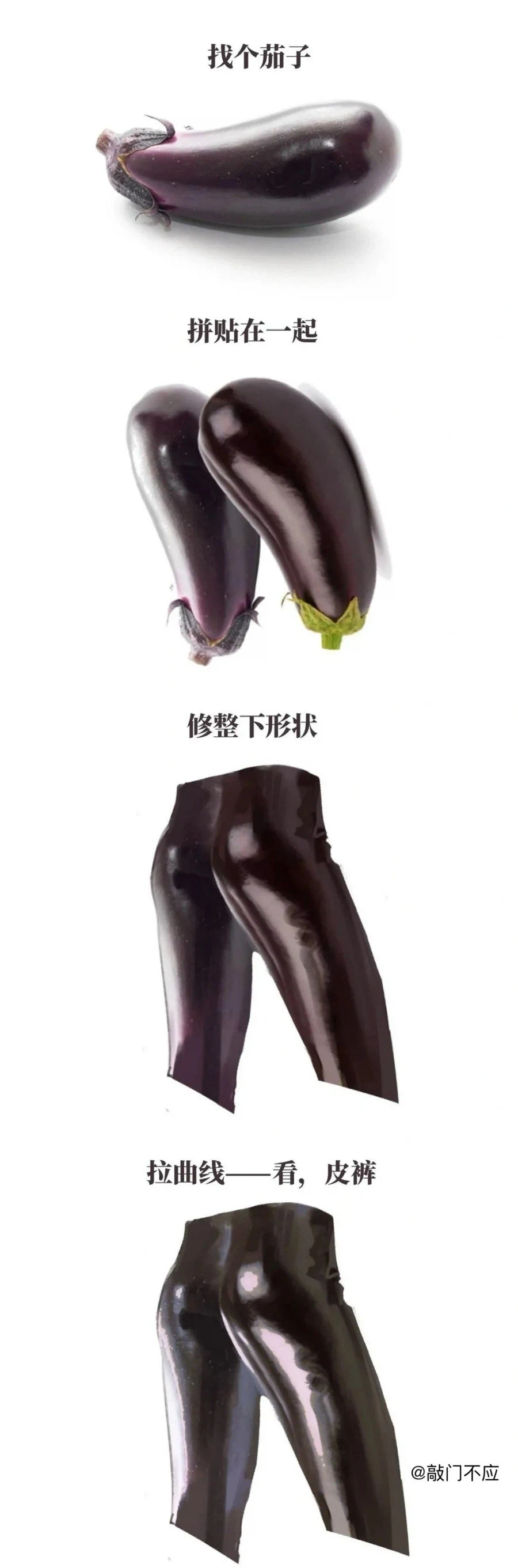 가지가 좋은 이유.jpg_1.webp