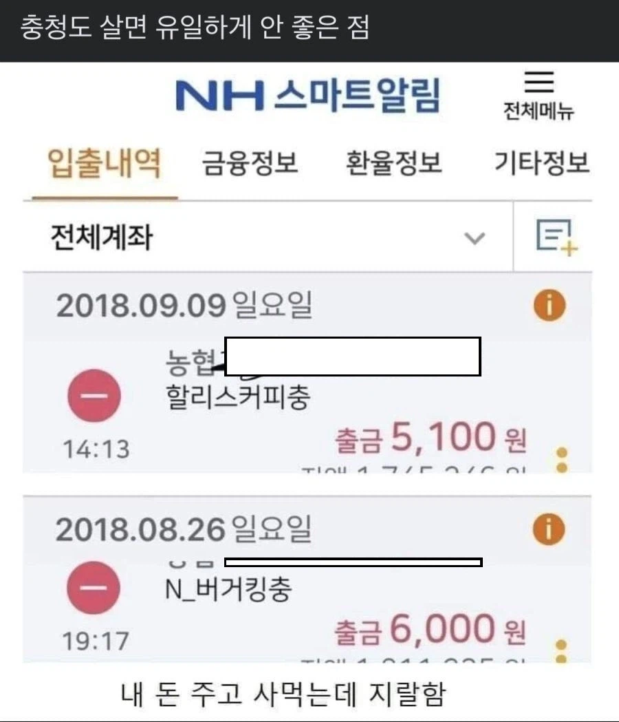 ??: 버거킹충 ww_1.webp