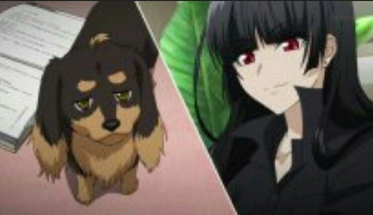 쓰레기 애니 얘기를 할 수 없는 이유_7.webp