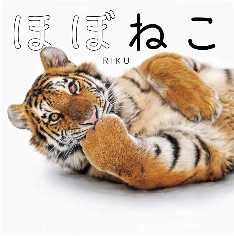 거의 고양이 라는 사진집이래_1.webp