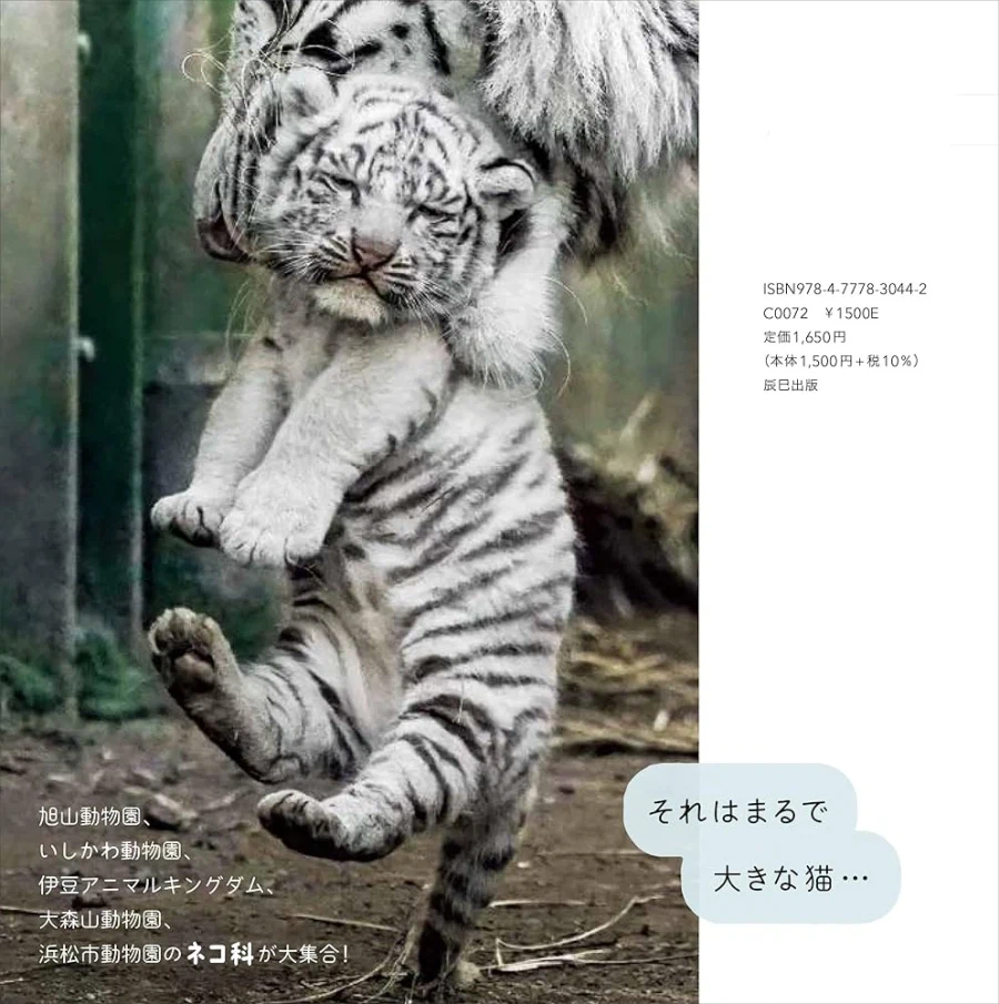 거의 고양이 라는 사진집이래_4.webp