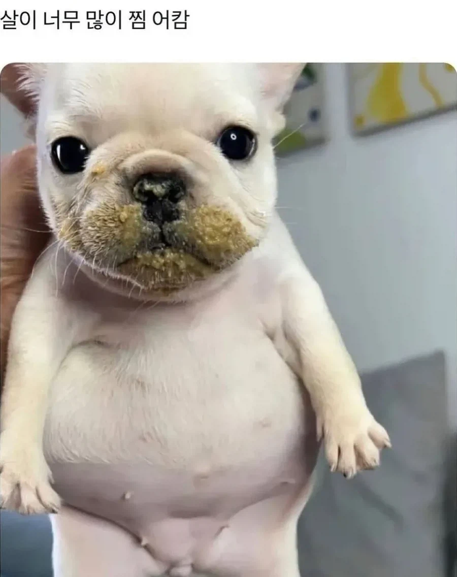 살이 너무 많이 찜 어캄.jpg_1.webp
