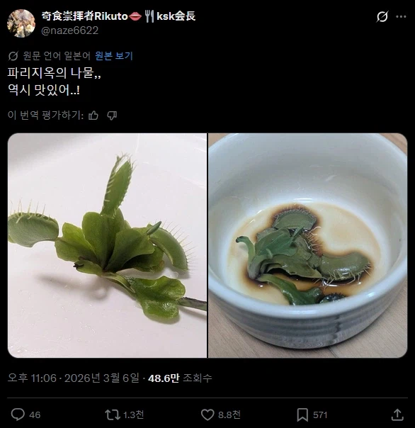 의외로 먹을 수 있는 식물.twit_1.webp
