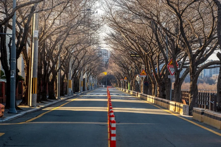 불법주차로 난리난 길에 박은 기둥의 위력.jpg_2.webp