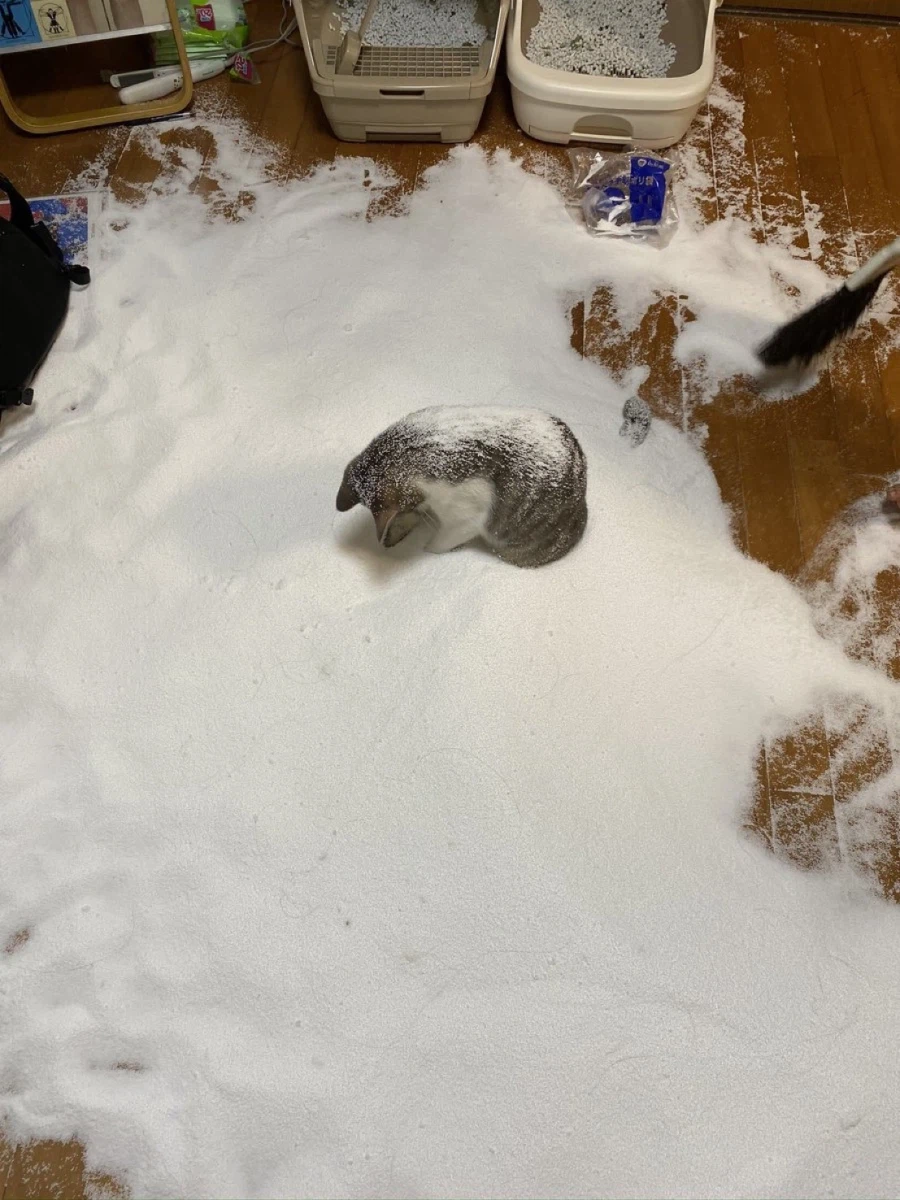 대형 사고 쳐놓고 비련의 주인공인 척하네_1.webp