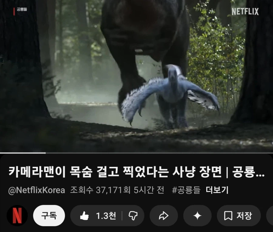 카메라맨이 목숨걸고 찍었다던 넷플 신작_1.webp