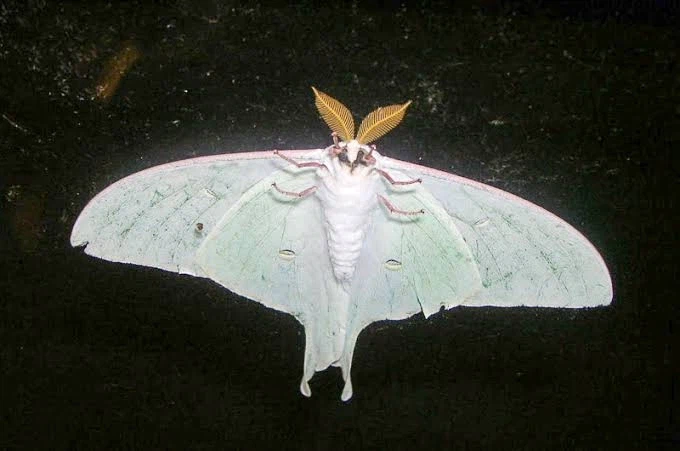 안아줘요 뭐하고 놀까요_1.webp