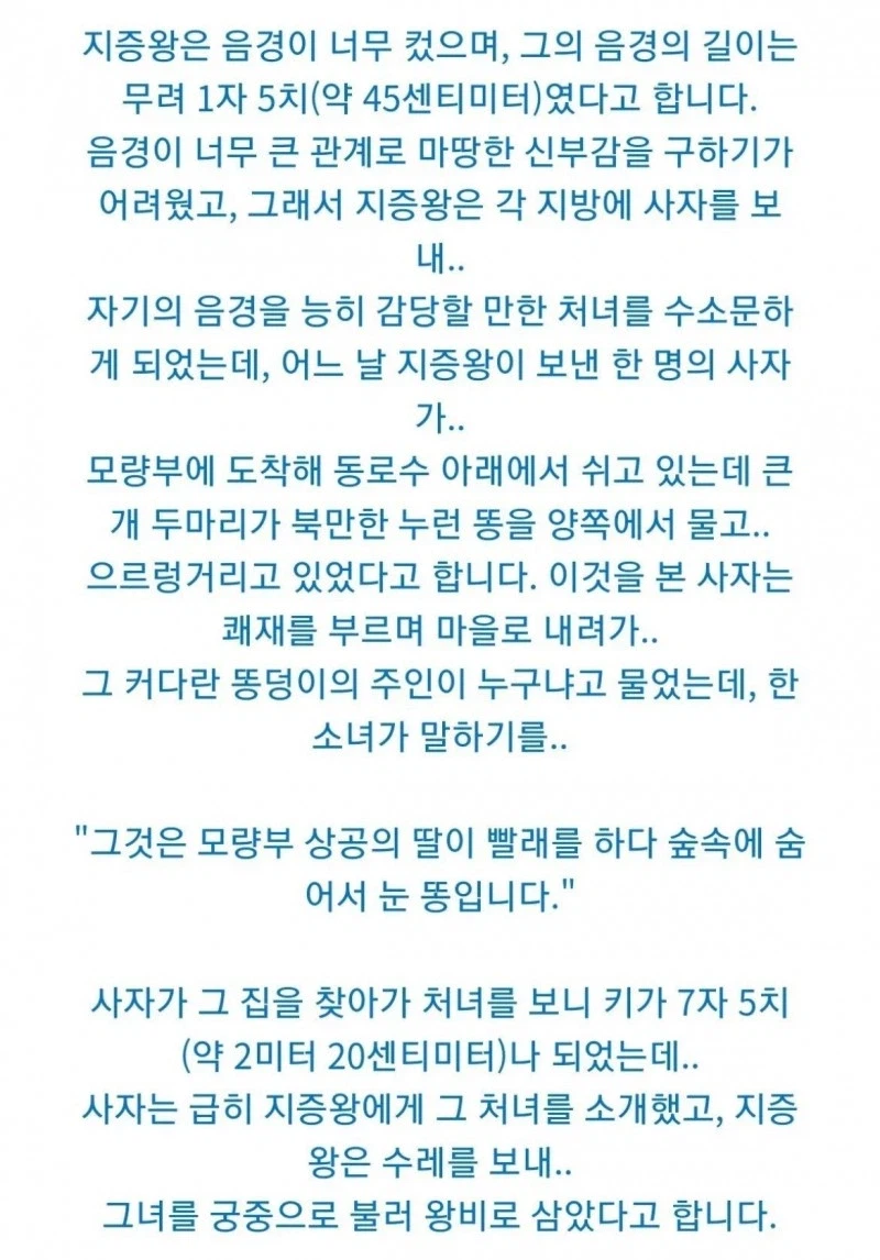 한국사 최고의 대물_2.webp