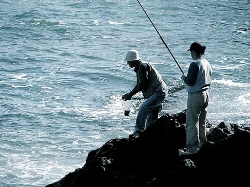 의외로 씹덕질 이외로 일본어 쓰면 이득인 곳.jpg_2.webp