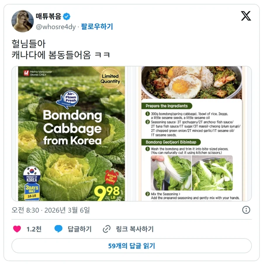 요즘 봄동이 유행이라며?_1.webp