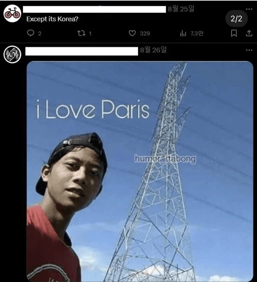 일본의 풍경이 너무 좋았던 외국인_2.webp