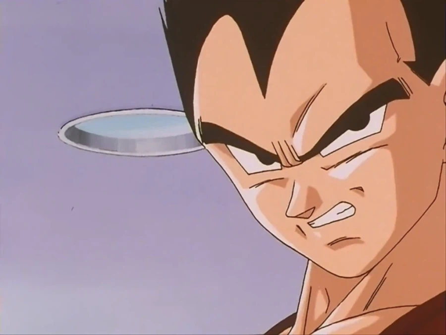 베지터 수염 사건_12.webp