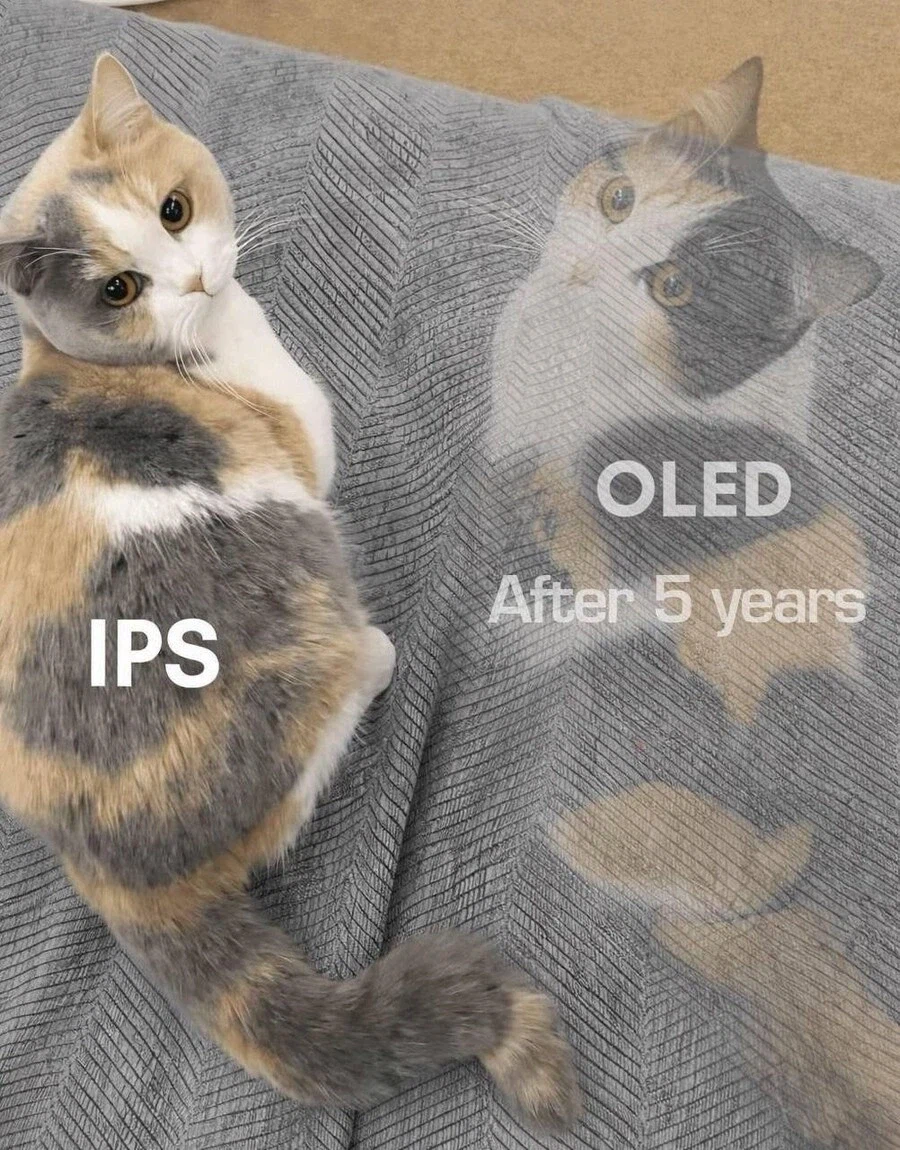 OLED와 IPS의 첫 구매 시 → 5년 지나면.jpg_2.webp