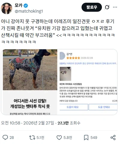 이레즈미 강아지옷 후기_3.webp