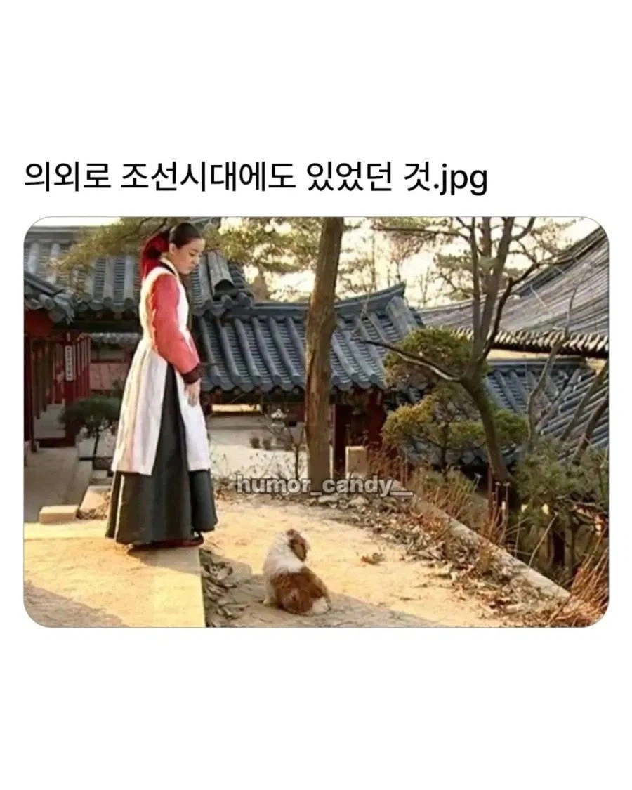 조선시대에도 있었던 견종_1.webp