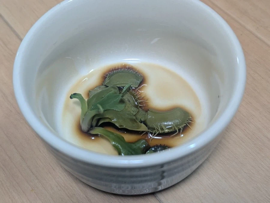 던전밥 음식 체감.jpg_3.webp