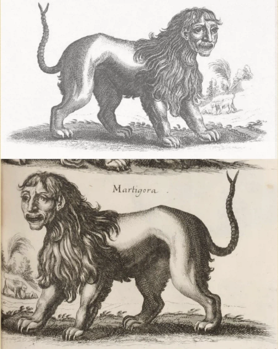 거장 소설가들이 독자 미치게 만드는 묘사 방법_1.webp